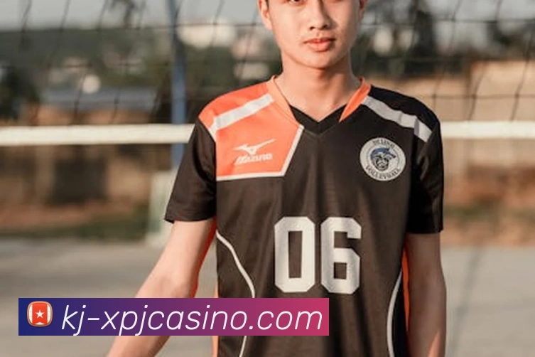 新葡京娱乐平台生态图